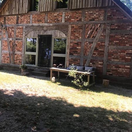 Gemuetliche Ferienwohnung An Der Elbe Bleckede Extérieur photo