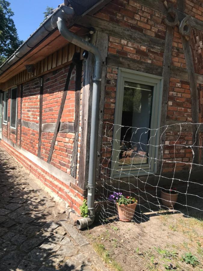 Gemuetliche Ferienwohnung An Der Elbe Bleckede Extérieur photo